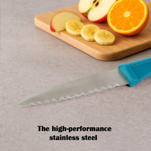 Professional Stainless Steel Paring Knife